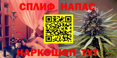 дживик Славгород