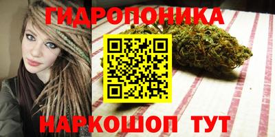 дживик Славгород