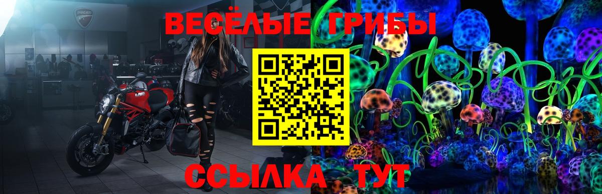 Новосибирск  Псилоцибиновые грибы мухоморы  Галлюциногенные грибы Magic Shrooms  Вход с VPN 