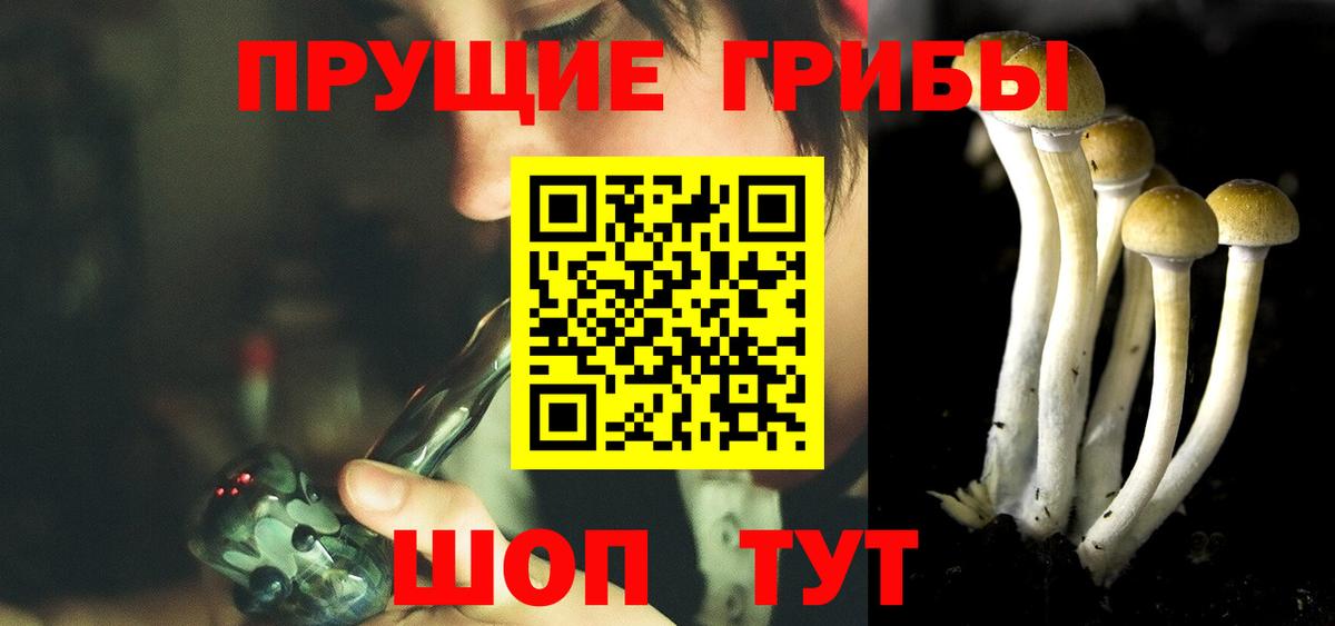 Псилоцибиновые грибы мухоморы Новосибирск